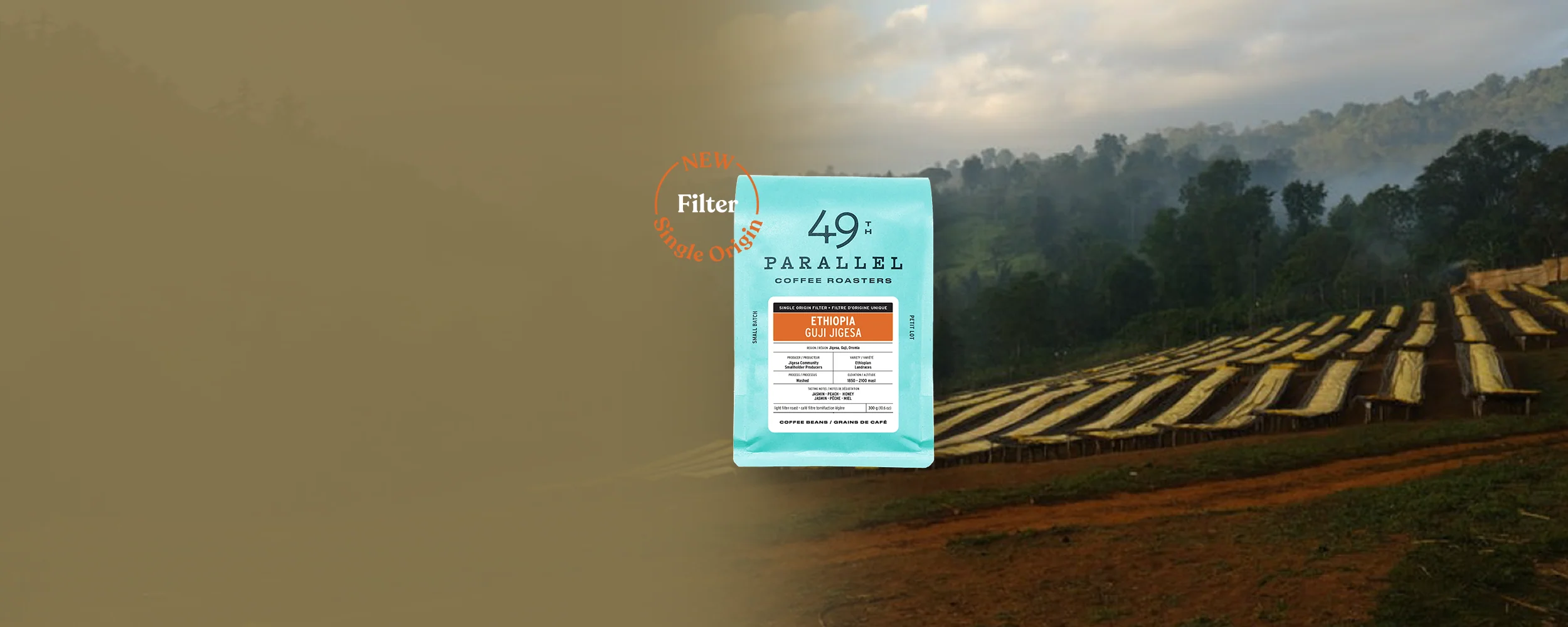 Fresh Small-Batch Specialty Coffee